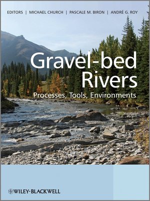 cover image of Gravel Bed Rivers